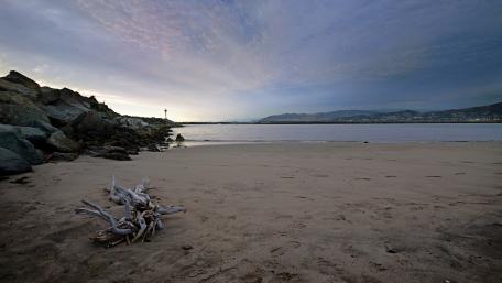 Serene Beach at Dusk with Driftwood wallpaper