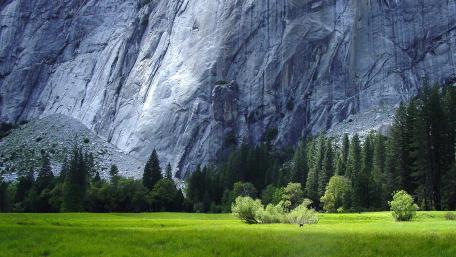 Majestic Mountain and Lush Green Meadow Scene wallpaper