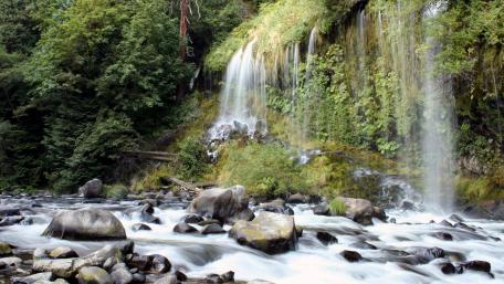 Serene Waterfall Cascading Through Lush Greenery wallpaper