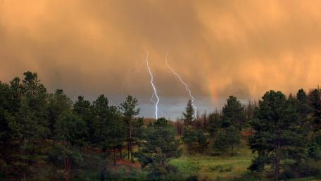 Dramatic Lightning Over Serene Forest Landscape wallpaper