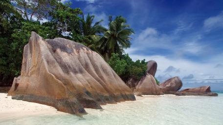 Serene Coastal Landscape with Majestic Rocks and Lush Foliage wallpaper