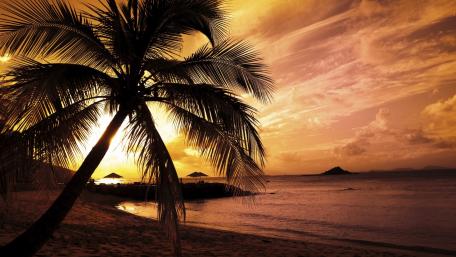 Tropical Sunset Serenity Over Calm Waters wallpaper