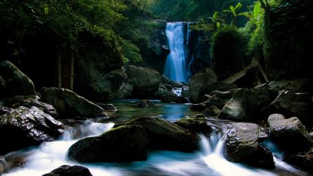 Tranquil Waterfall Amidst Lush Greenery wallpaper