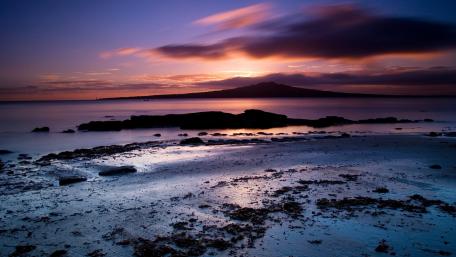 Tranquil Evening at the Shoreline wallpaper