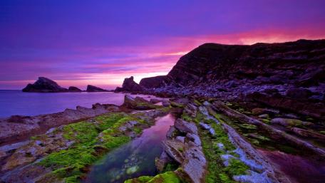 Serene Purple Coastline at Dusk wallpaper