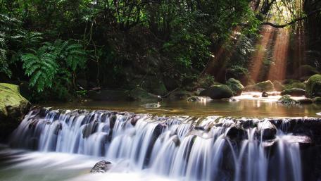 Serene Waterfall in Lush Green Forest wallpaper