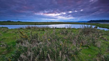 Tranquil Waters Under a Purple Sky wallpaper