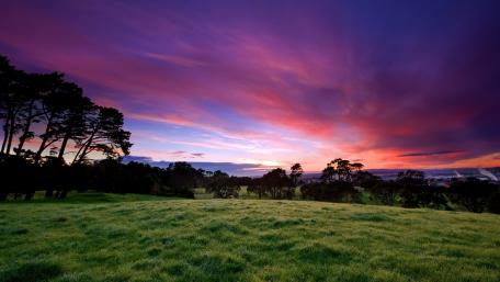 Breathtaking Sunset Over Lush Green Fields wallpaper
