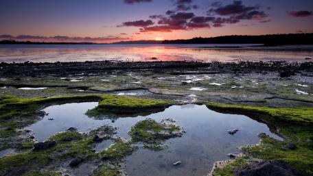 Tranquil Sunset Over Serene Wetlands wallpaper
