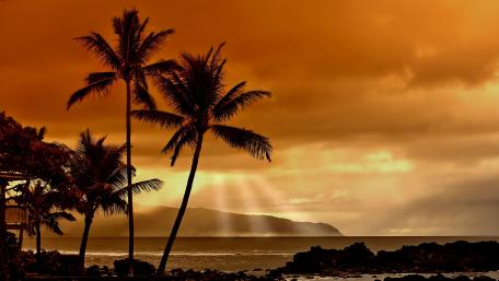 Tropical Sunset Serenity wallpaper
