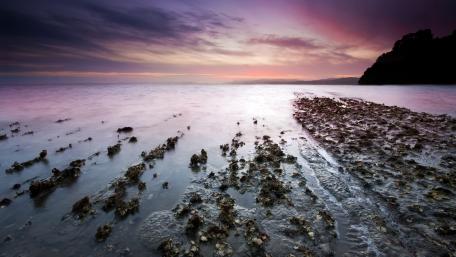 Tranquil Coastal Serenity at Dusk wallpaper