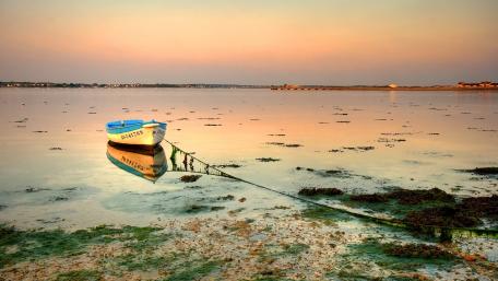 Serene Sunset on the Tranquil Lake wallpaper