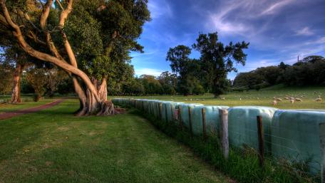 Lush Green Pasture Under a Vast Sky wallpaper