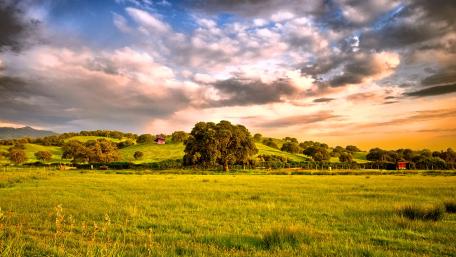 Vibrant Hillside Under a Scenic Sky wallpaper