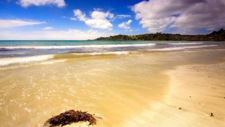 Serene Beach with Gentle Waves and Clear Skies wallpaper