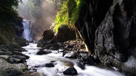 Serene Forest Cascade wallpaper