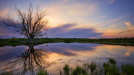 Majestic Sunset Over Tranquil Pond wallpaper
