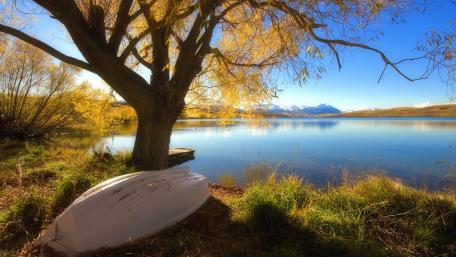 Golden Autumn Serenity by the Lake wallpaper