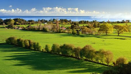 Vibrant Green Landscape Under Clear Blue Sky wallpaper