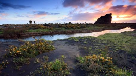 Serene Sunset Over Tranquil Landscape with Flowers wallpaper