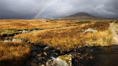 Majestic Rainbow Over Rolling Hillside wallpaper