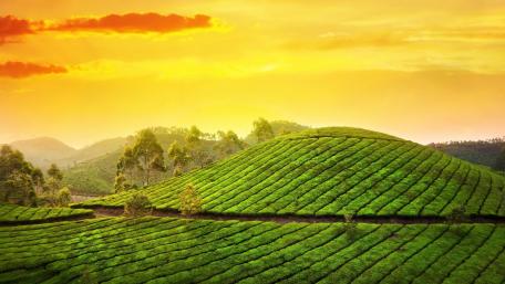 Serene Green Hills Under an Orange Sky wallpaper