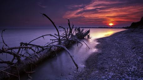Serene Sunset by the Shoreline wallpaper