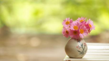 Blooming Serenity in a Vase wallpaper