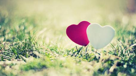 Whimsical Hearts in Nature Scene wallpaper