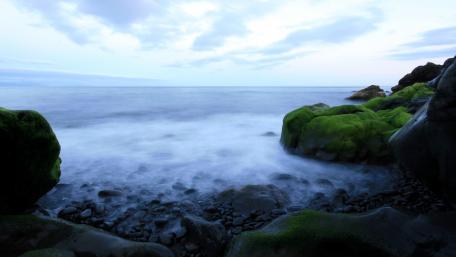 Serene Coastal Landscape with Lush Green Mossy Rocks wallpaper