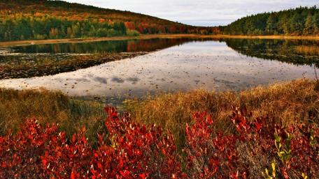 Vibrant Autumn Reflections in a Tranquil Lake wallpaper