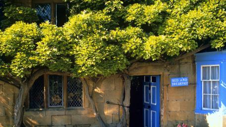 Charming City Bed and Breakfast Entrance wallpaper