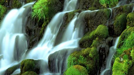Serene Mossy Waterfall View wallpaper