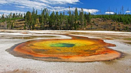 Morning Glory Pool hot spring wallpaper