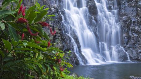 Tranquil Waterfall Oasis wallpaper