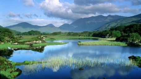 Serene Lake Reflections in Nature's Embrace wallpaper