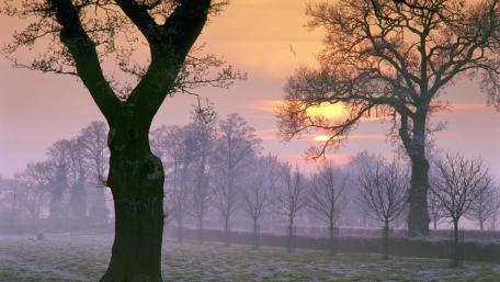 Serene Winter Sunrise Over a Frosty Landscape wallpaper