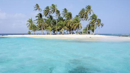 Tropical Paradise with Palm Trees and Clear Waters wallpaper