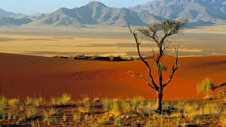Desert Serenity Under Majestic Mountains wallpaper