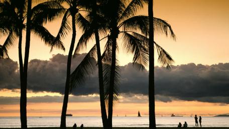 Tropical Sunset Serenity Over Calm Waters wallpaper
