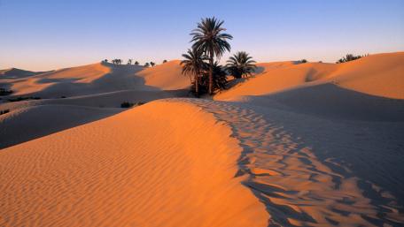 Ethereal Desert Oasis with Sunrise Glow wallpaper
