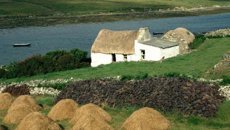 Rustic Charm by the Water's Edge wallpaper