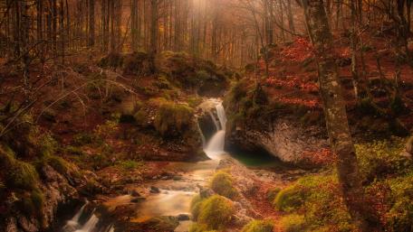 Serenity in Autumn Forest Waterfall wallpaper
