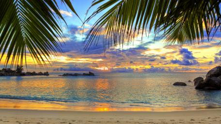 Tropical Serenity at Sunset wallpaper