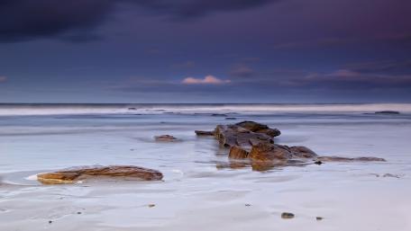 Calm Serenity of the Shoreline wallpaper