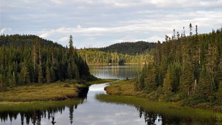 Serene Lakeside Escape in Nature's Embrace wallpaper