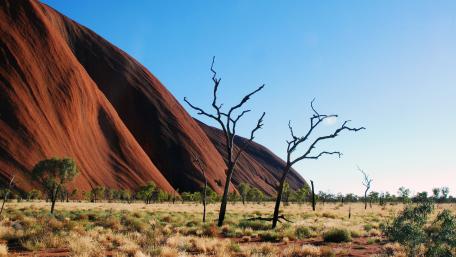 Majestic Desert Landscape with Red Rock Formation and Striking Trees wallpaper