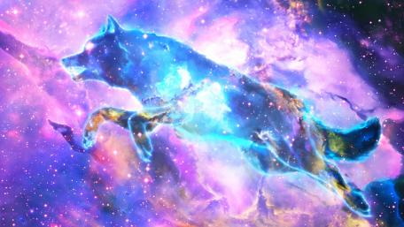 Galaxy Wolf wallpaper