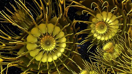 Golden Fractal Blooms in Cosmic Space wallpaper