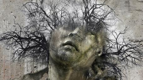 Tree head wallpaper